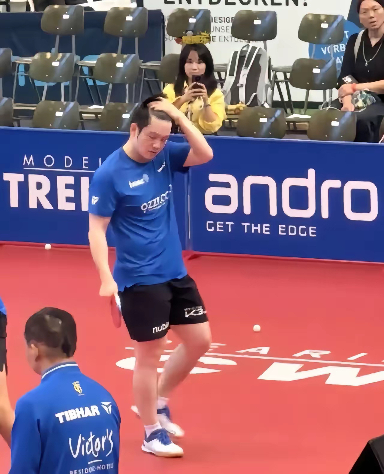 关于法国队力克韩国队，樊振东状态火热的信息