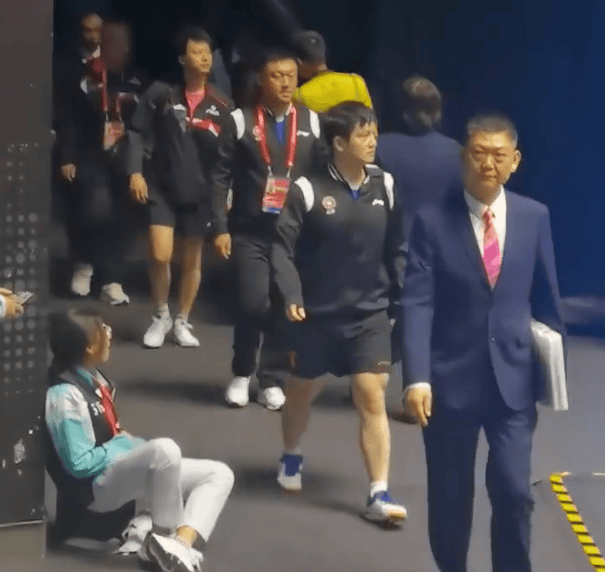 关于法国队力克韩国队，樊振东状态火热的信息