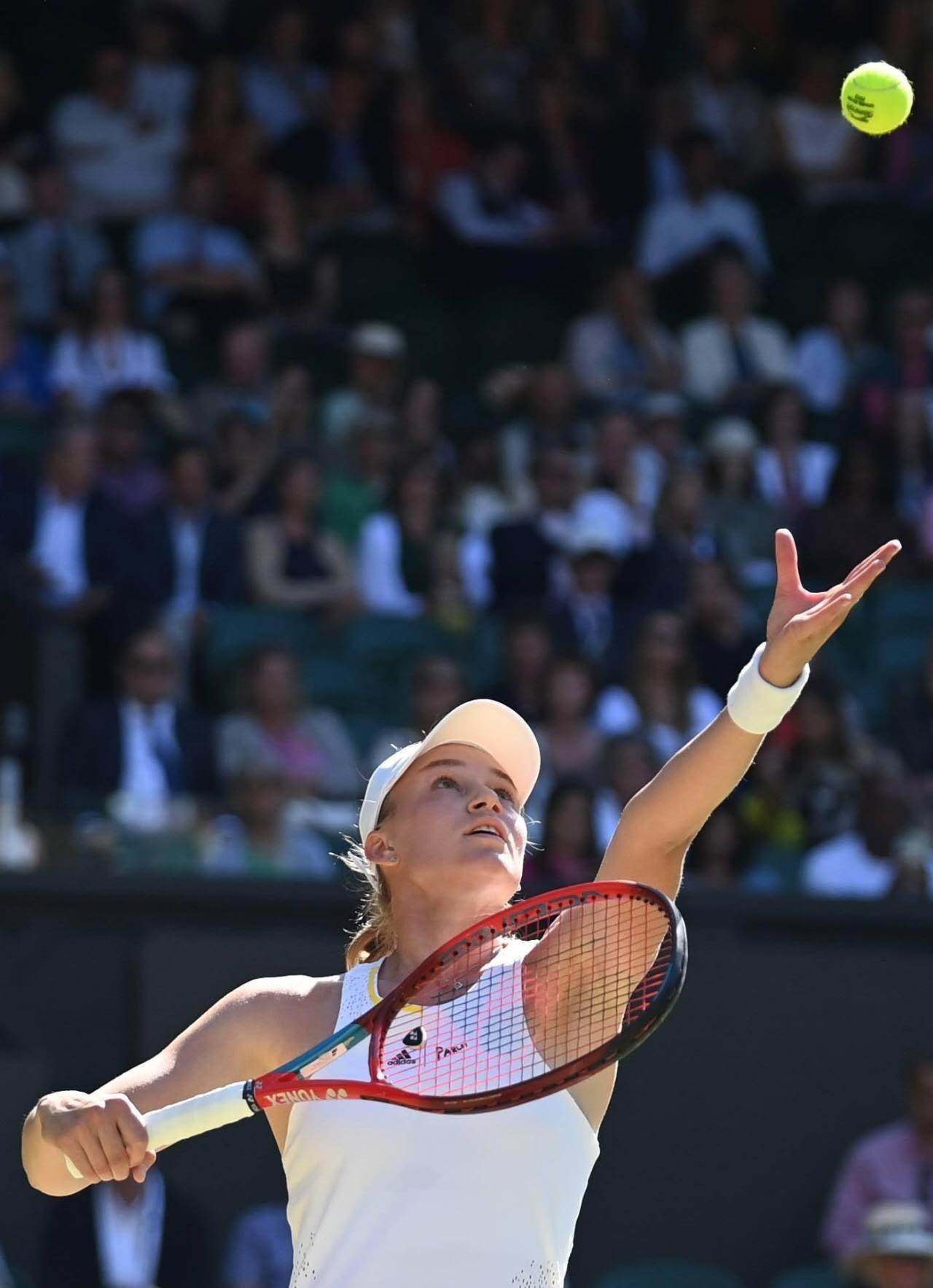 关于联合杯横扫温网，鲁德惊艳四座的信息