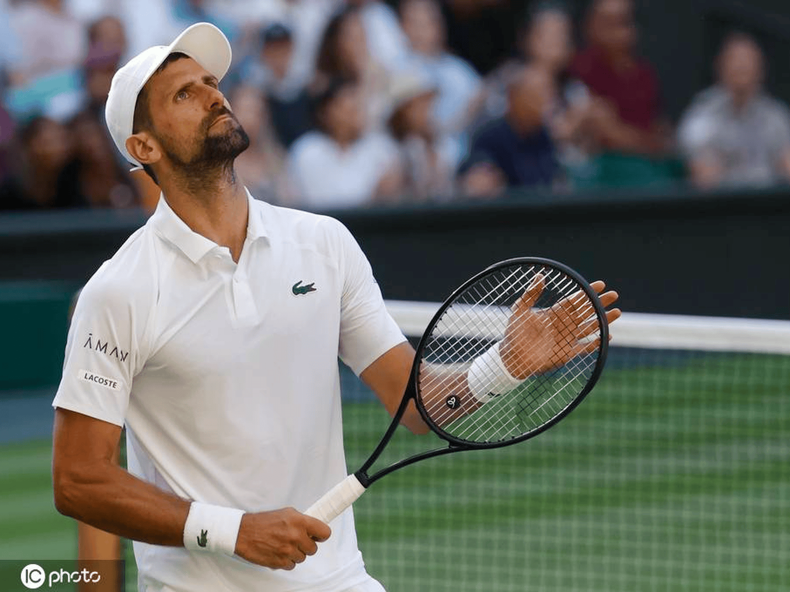 温网绝杀拉沃尔杯，德约科维奇关键制胜的简单介绍