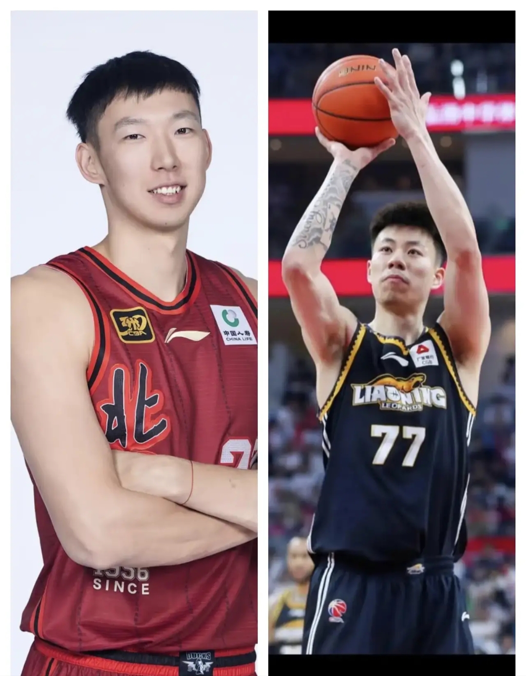 广东队横扫吉林队,张镇麟惊艳四座 广东队横扫吉林队,张镇麟惊艳四座