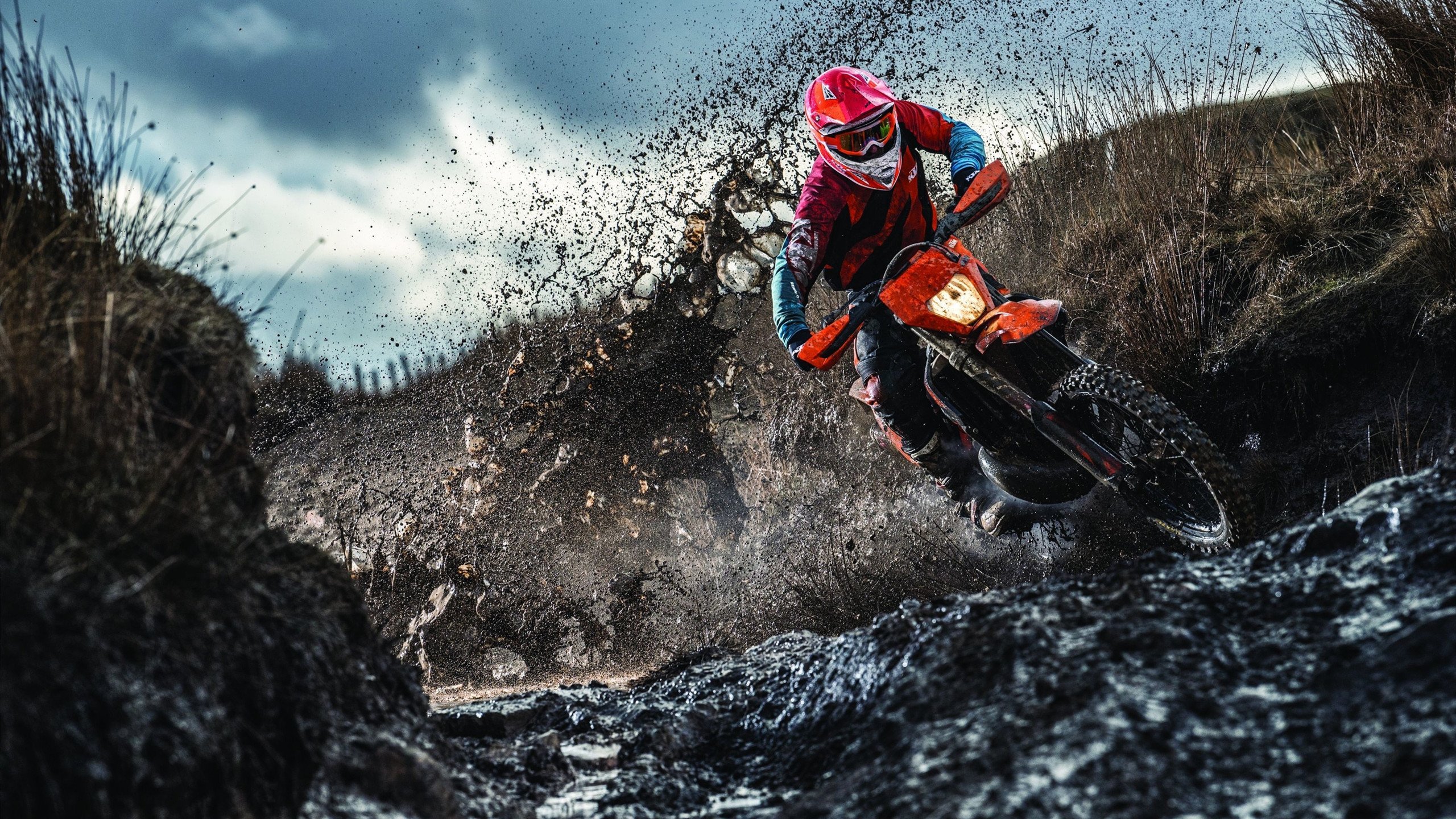 NBA季后赛之夜,小贾伦·硬仗之王的崛起